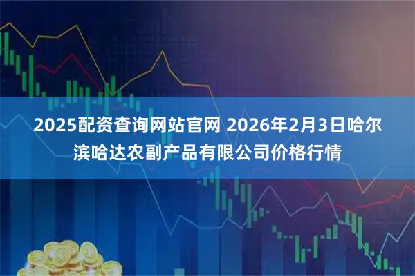 2025配资查询网站官网 2026年2月3日哈尔滨哈达农副产品有限公司价格行情